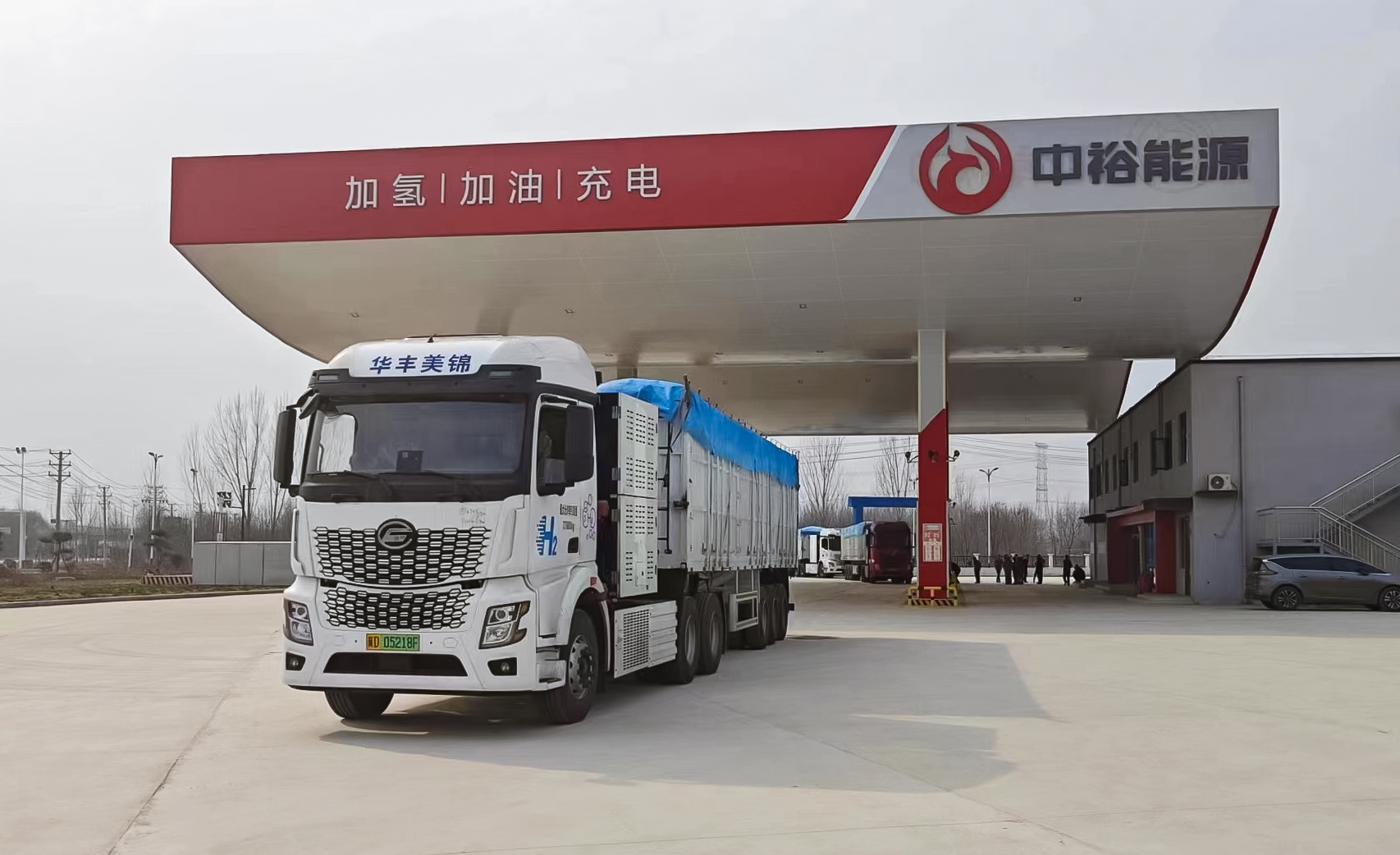 体育app官网下载