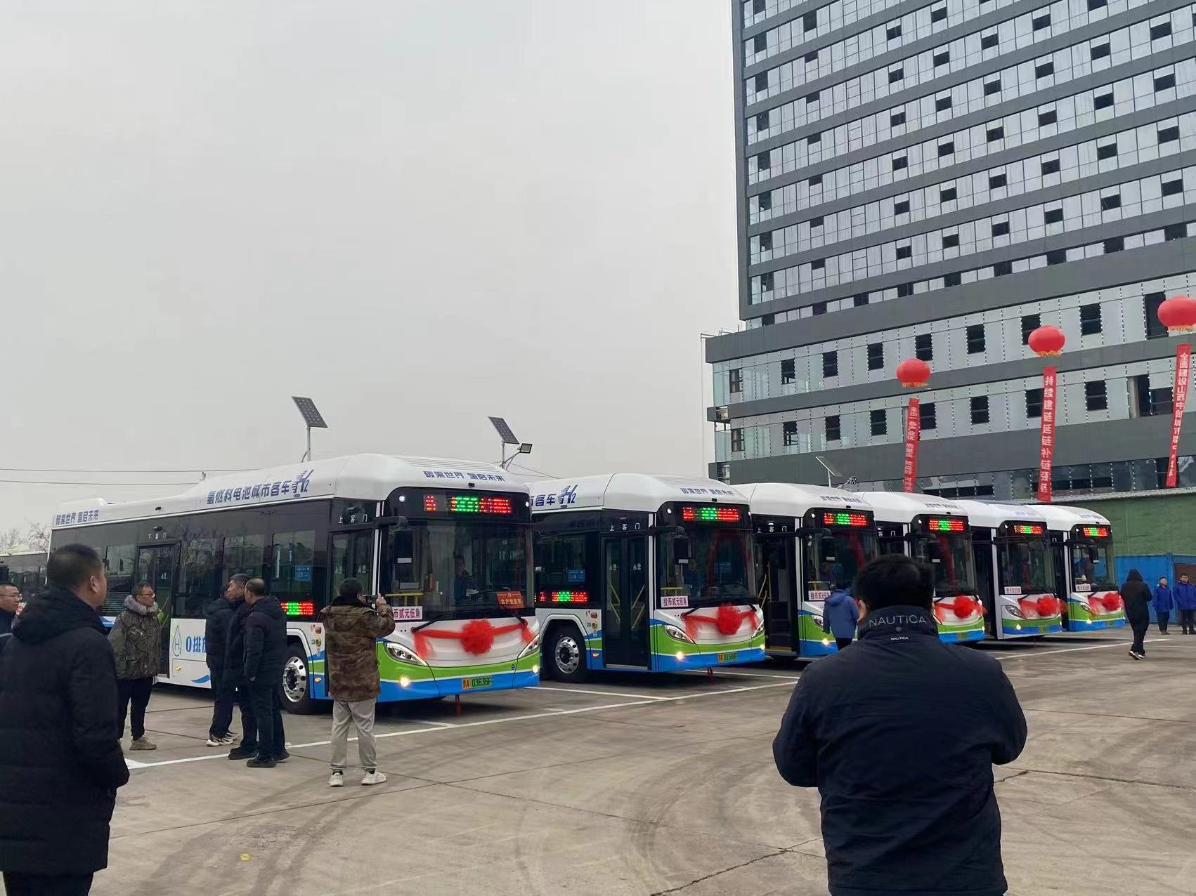 体育app官网下载