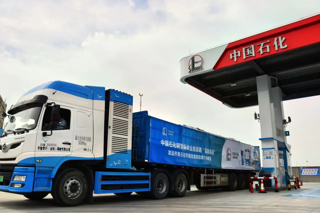 体育app官网下载