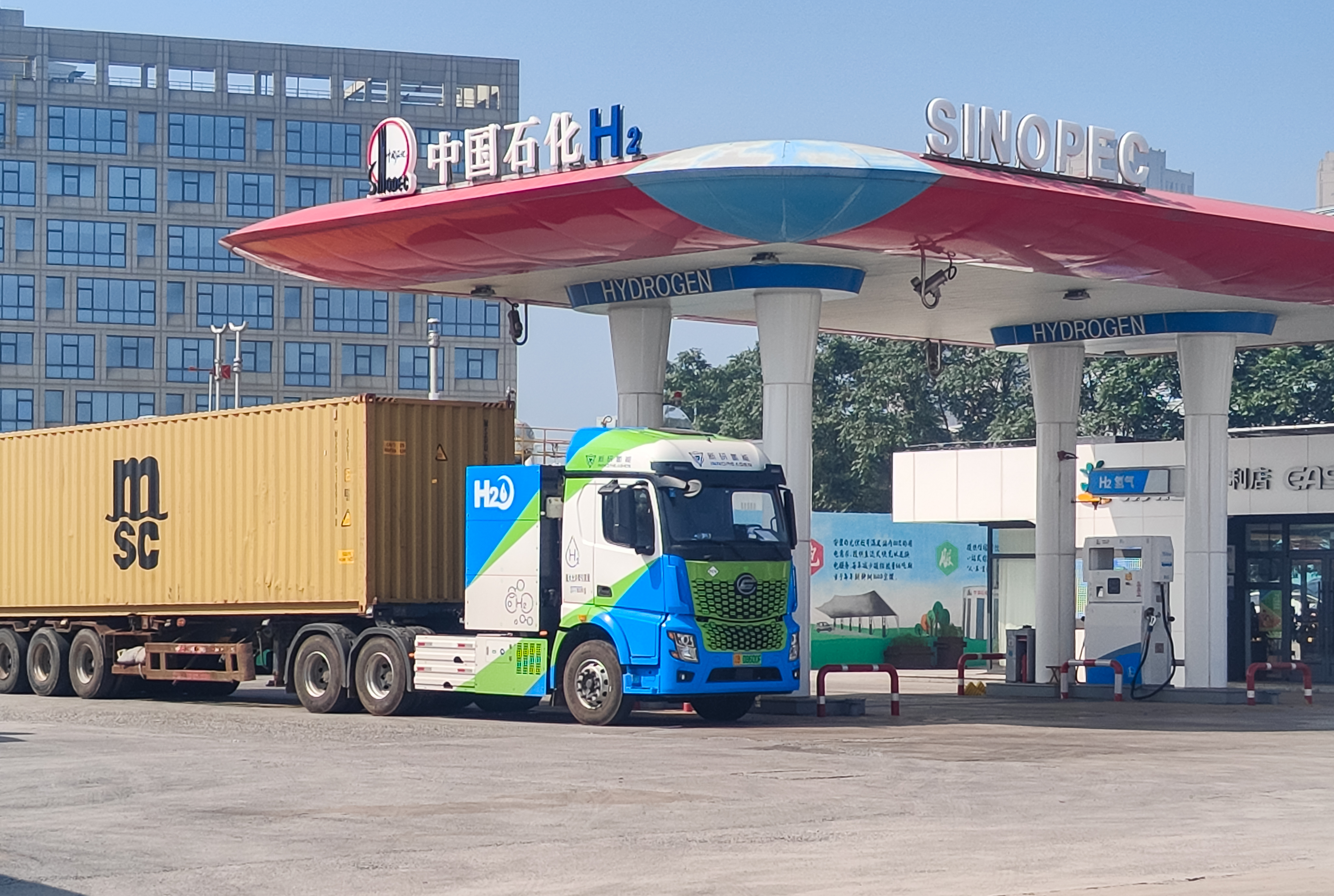 体育app官网下载